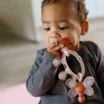 Anneau de dentition réfrigéré : Soulager la douleur dentaire des bébés de manière naturelle