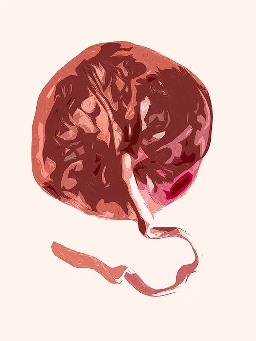 Est-il sécuritaire de manger votre placenta ?