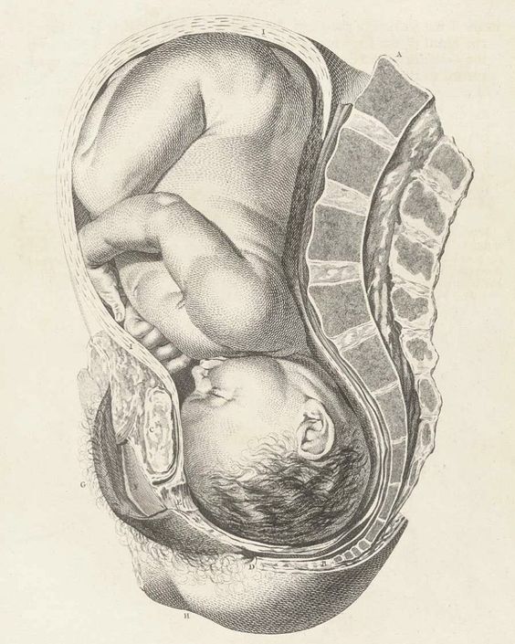 Qu’est-ce qu’un bébé au côté ensoleillé ?