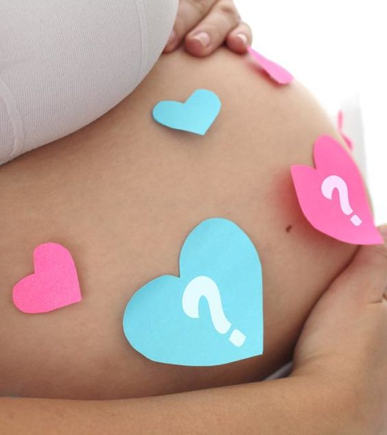 Quand les organes sexuels de votre bébé se développent-ils dans l’utérus ?