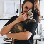 Les chats au caractère d’or