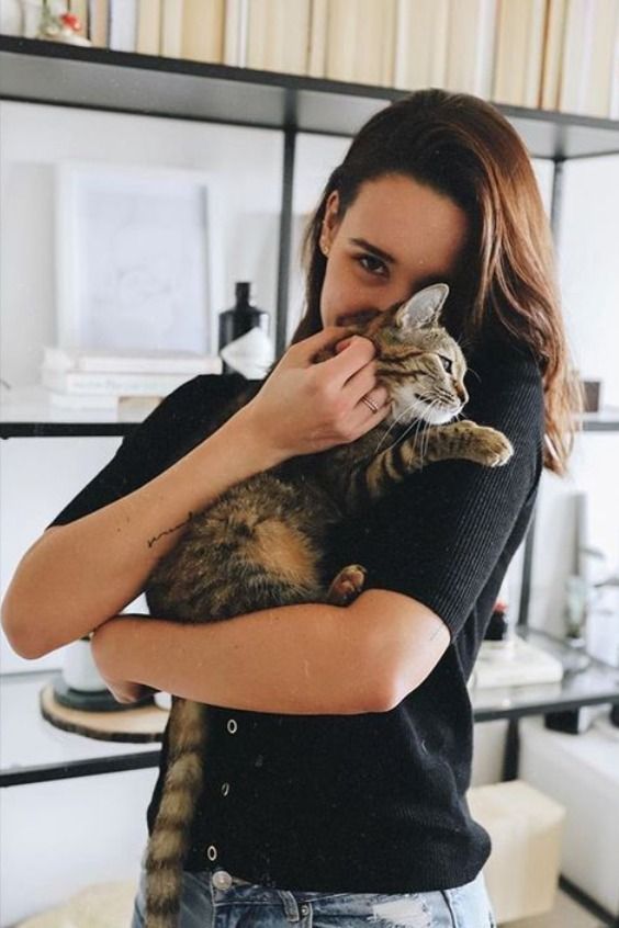 Les chats au caractère d’or