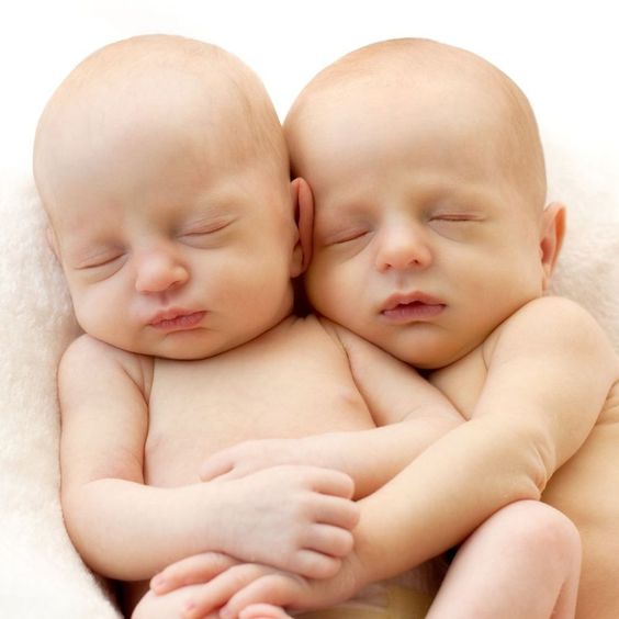 Quels sont les différents types de jumeaux ?