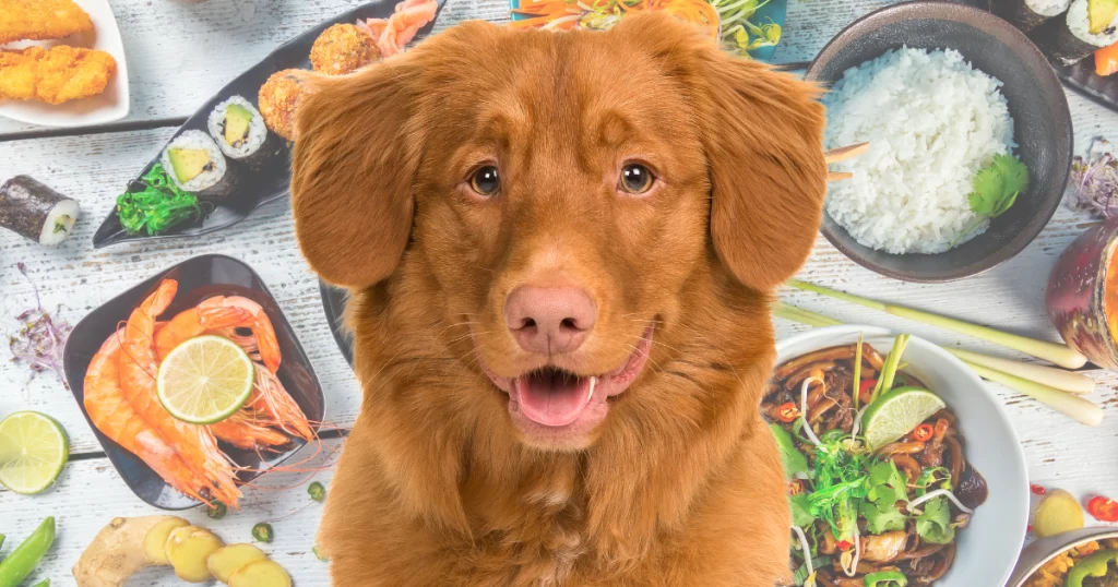 Food-Themed Dog Names for Foodies