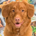 Food-Themed Dog Names for Foodies