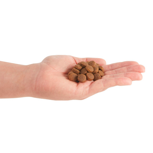 Diving Deep into Dinner: A Look at Acana Fish Dog Food