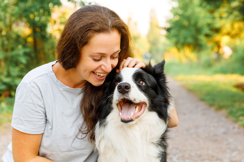 why do dogs like to be pet