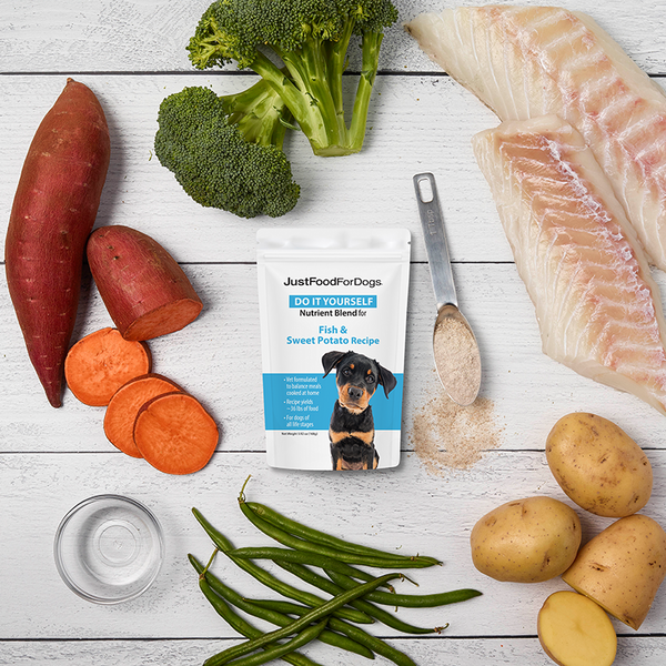 Diving Deep into Dog Food: The Allure of Fish-Based Options