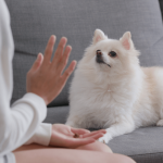 dog training hand signals chart