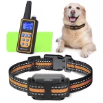 Invirox Dog Training Collar: A Comprehensive Guide
