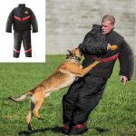 The Dog Training Suit: Protection, Purpose, and Alternatives
