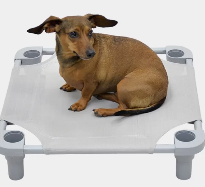 Unleashing Success: The Power of the Dog Training Place Board