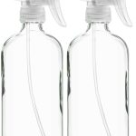 Glass Spray Bottle