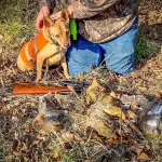 Turning Your Pup into a Pro: A Guide to Training Squirrel Dogs