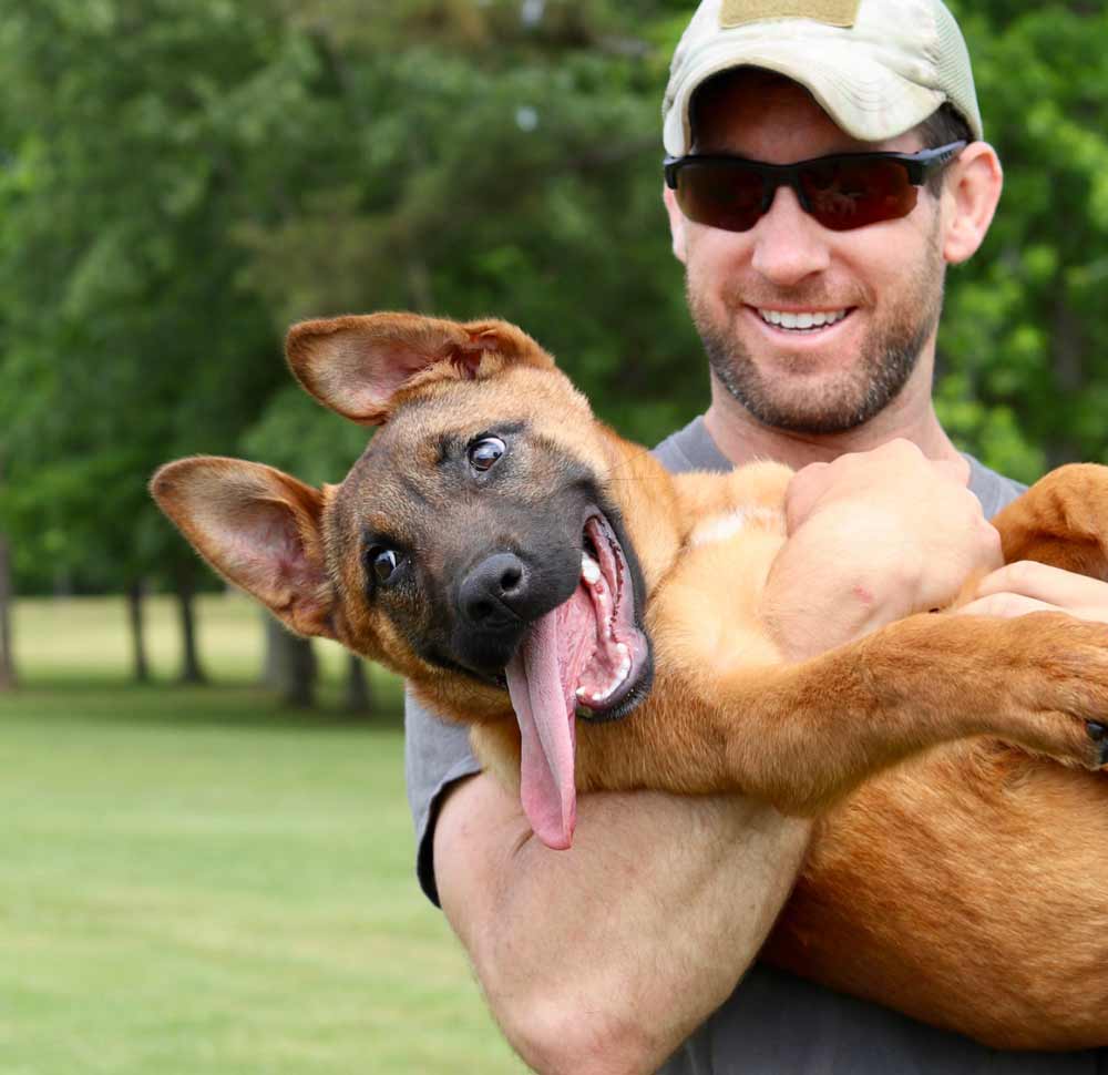 drop off dog training