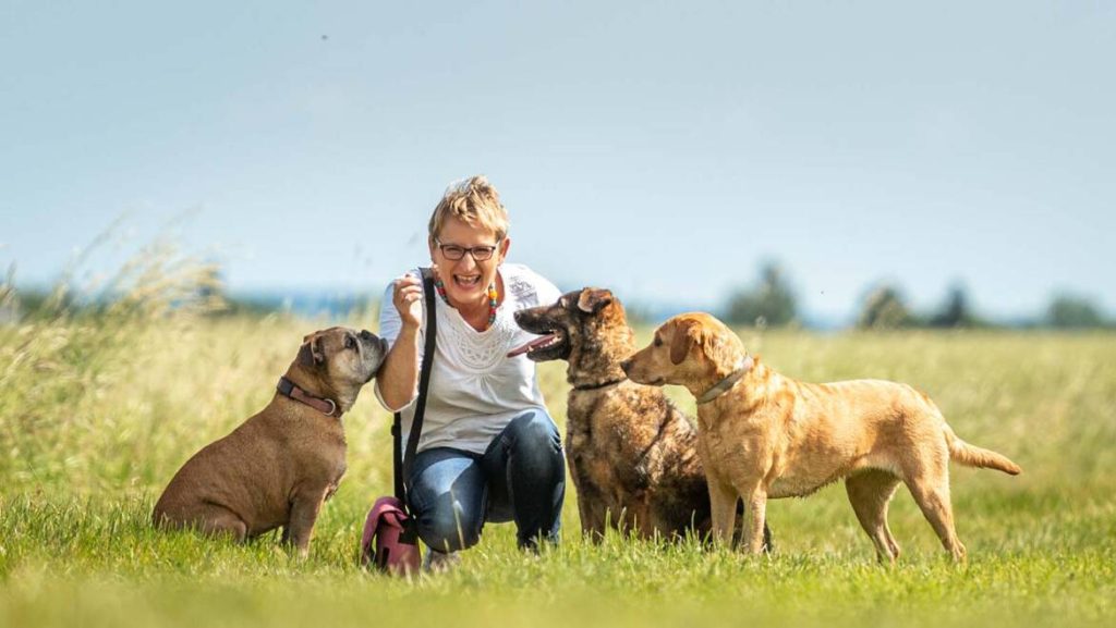 pack leader dog training