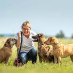 pack leader dog training