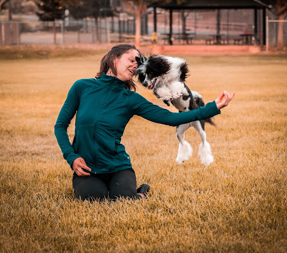 Acoma Dog Training: Evaluating Methods and Finding the Right Fit