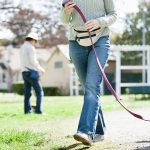 Creating Harmony: A Guide to Positive Dog Training