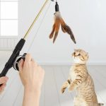 Paws and Play: The Ultimate Interactive Cat Toy Selection