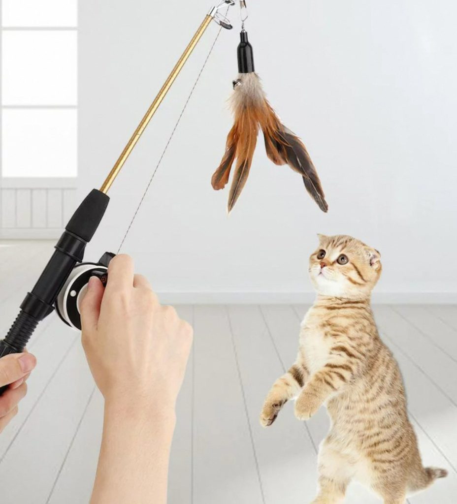 Paws and Play: The Ultimate Interactive Cat Toy Selection