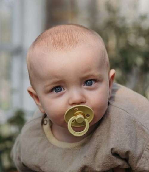 Pacifier Calming Effects