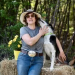 stock dog training