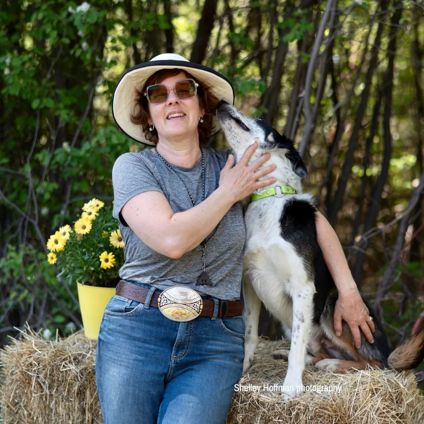 stock dog training