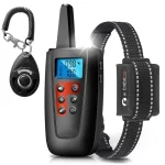 training a dog with a vibrating collar
