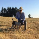 upland dog training