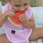 Disposable Bibs Defined