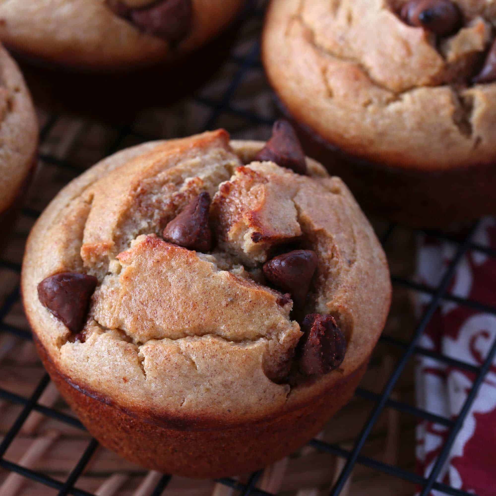 banana blender muffins