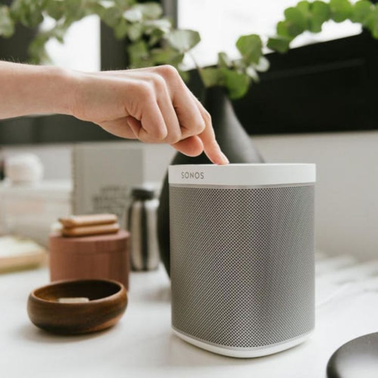 portable smart speaker