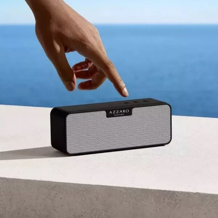 portable smart speaker