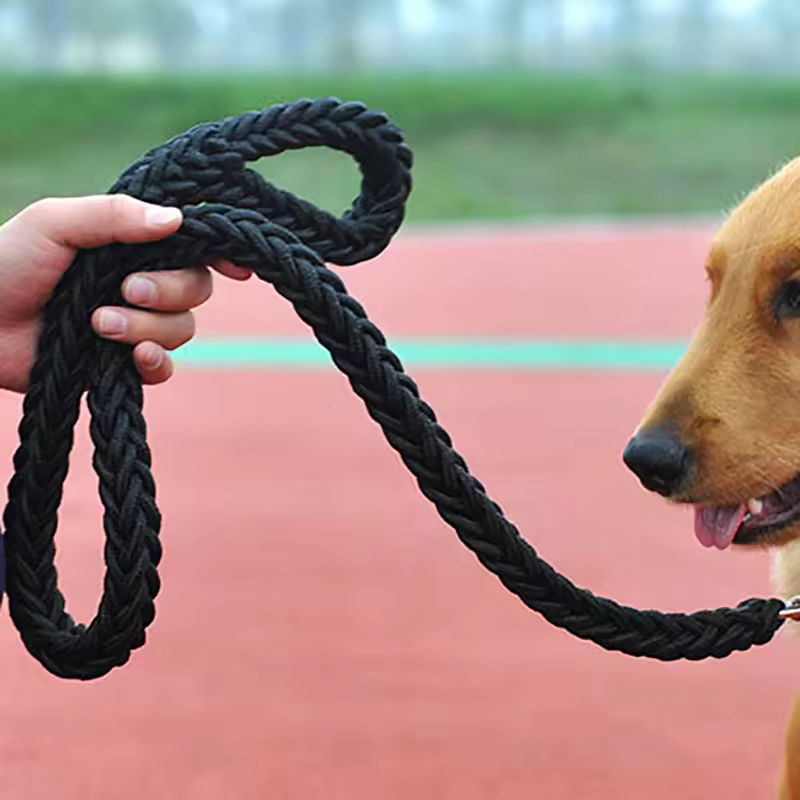 long dog leash